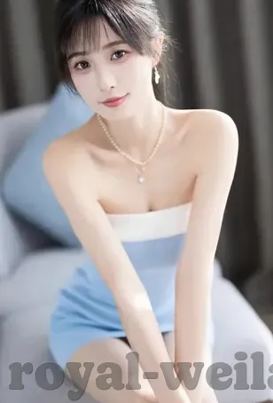 旧版森林舞会2016-旧版森林舞会2016，一场怀旧与创新的交响曲